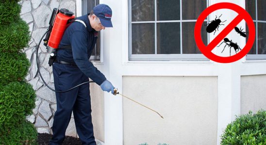 Çandarlı Haşere İlaçlama böcek ilaçlama ve haşere kontrolü — ilaclama-tr.com